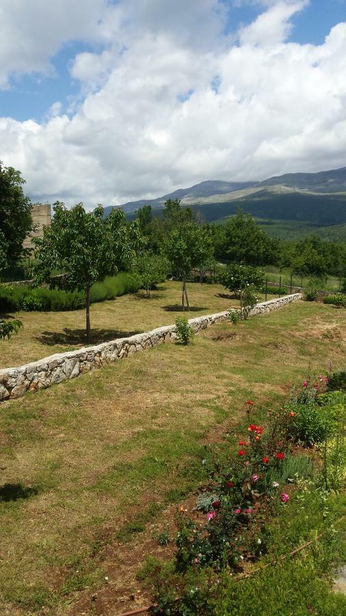 Villa Cetina Milasi Eksteriør billede